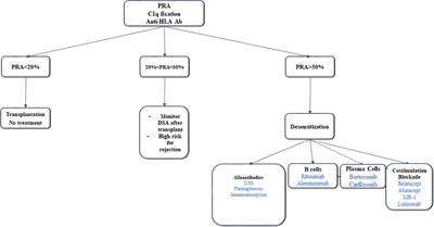 Sensitization and Desensitization in Vascularized Composite Allotransplantation